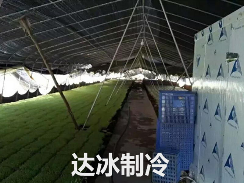 三水韭菜花基地冷库